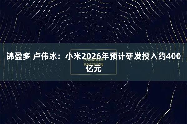 锦盈多 卢伟冰：小米2026年预计研发投入约400亿元