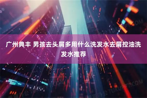 广州典丰 男孩去头屑多用什么洗发水去屑控油洗发水推荐
