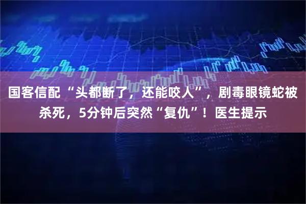 国客信配 “头都断了，还能咬人”，剧毒眼镜蛇被杀死，5分钟后突然“复仇”！医生提示